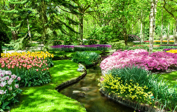 Dutch Bulb Fields (2024)