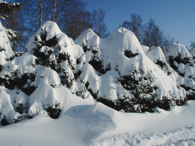 Hogmanay In The Highlands 